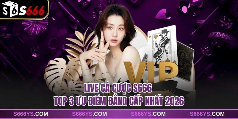 Live Cá Cược S666 - Top 3 Ưu Điểm Đẳng Cấp Nhất 2026