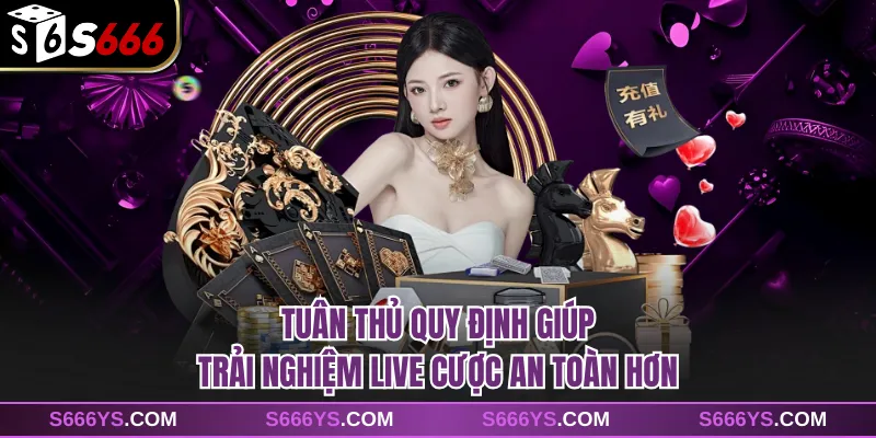 Tuân thủ quy định giúp trải nghiệm live cược an toàn hơn