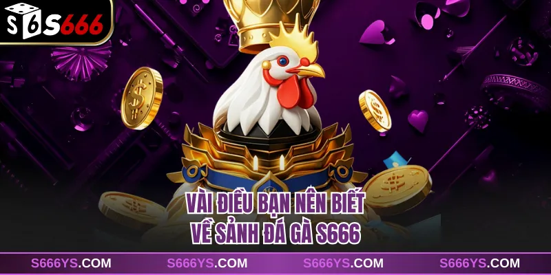 Vài điều bạn nên biết về sảnh đá gà S666