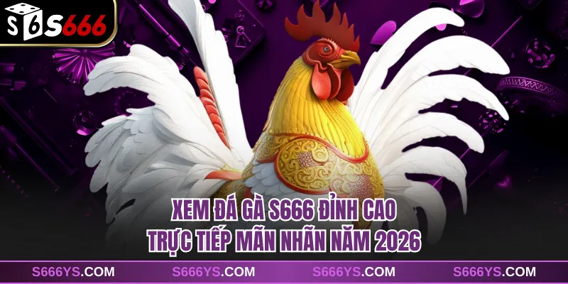 Xem Đá Gà S666 Đỉnh Cao Trực Tiếp Mãn Nhãn Năm 2026